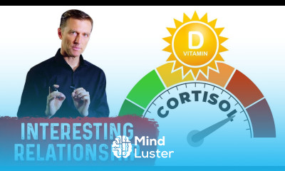 Cortisol Stress and Vitamin D Levels