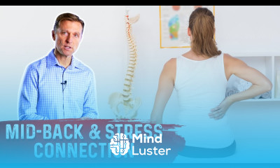 The Mid Back Stress Connection