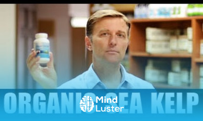 Organic Sea Kelp Icelandic