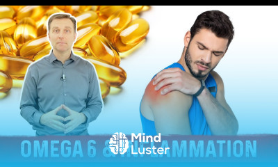 Omega 3 and Omega 6 Fatty Acids Food Sources and Inflammation