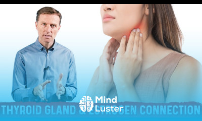 The Connection Between Thyroid Gland Estrogen – Dr Berg
