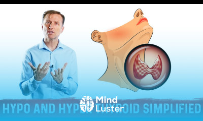 Hyperthyroid vs Hypothyroid Explained By Dr Berg