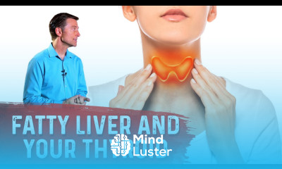Why Can A Fatty Liver Slow Your Thyroid Hypothyroid – Dr Berg