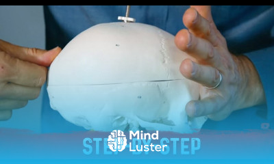 Amazing Skull Massage for a Deep Restful Sleep – Dr Berg