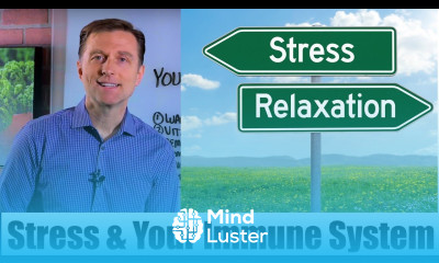 Stress Your Immune System