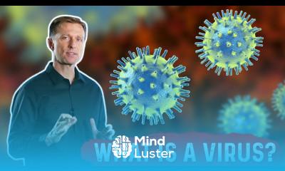 What is a Virus Its Structure Function and Remedies