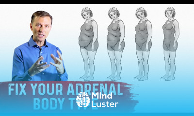 How To Fix Your Adrenal Body Type – Dr Berg