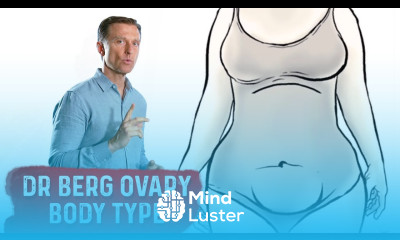 What is Ovary Body Type Dr Berg