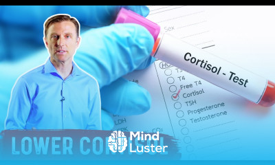How To LOWER Cortisol Levels – Dr Berg