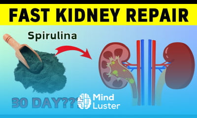 Spirulina s 30 Day Challenge What Happens to Kidney Patients HealthHarmony Life