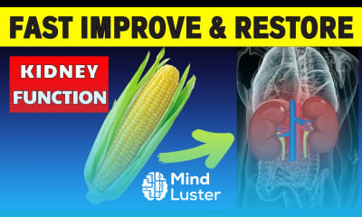 DON T IGNORE 6 SUPERFOODS For FAST Improving And Restoring KIDNEY FUNCTION HealthHarmony Life