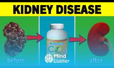 Top 3 Vitamins That Help Improve Kidney Function HealthHarmony Life