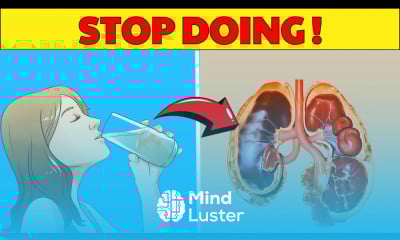 WARNING 9 Bad HABITS That WEAKEN Your KIDNEYS HealthHarmony Life