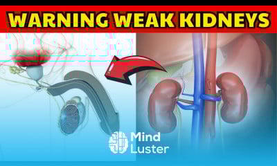 99 Of Individuals With Weak Kidneys Have Poor Sexual Relationships