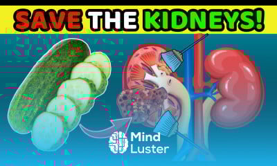 Warning About Foods That Damage The Kidneys And Ways To Cleanse The Kidneys Right At Home