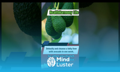 Detoxify and cleanse a fatty liver with avocado in one week