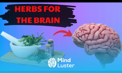 Discover Potent Herbs That Repair Nerve Damage and Redefine Healing