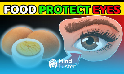 8 Foods That Protect Eyes and Repair Vision HealthHarmony Life