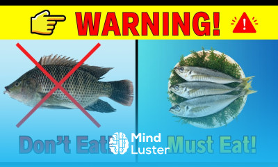 10 TYPES of FISH You Should ABSOLUTELY AVOID EATING HealthHarmony Life