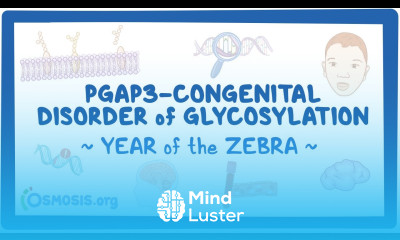 PGAP3 congenital disorder of glycosylation Year of the Zebra