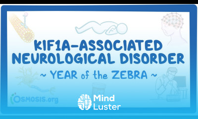 KIF1A associated neurological disorder Year of the Zebra