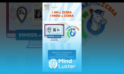 Year of the Zebra I Am a Zebra I Know a Zebra