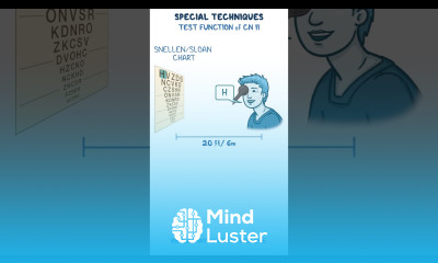 Assessment Clips Vision Assessment