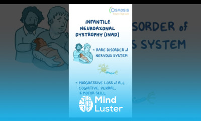 Infantile Neuroaxonal Dystrophy