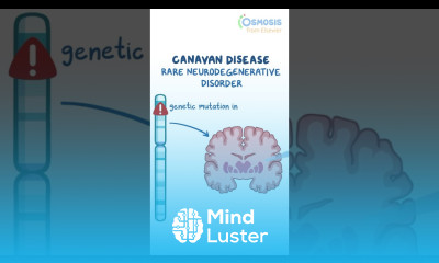 Canavan Disease