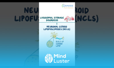 Neuronal ceroid lipofuscinoses Batten disease
