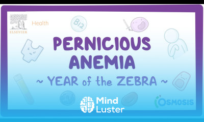 Pernicious Anemia Year of the Zebra