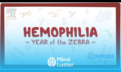 Hemophilia Year of the Zebra