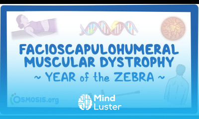 Facioscapulohumeral muscular dystrophy Year of the Zebra