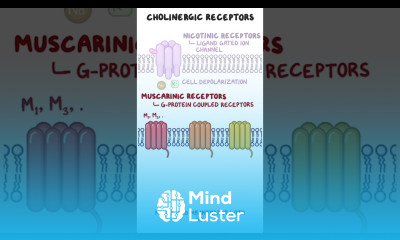 Clinical Cuts Cholinergic crisis