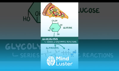 Clinical Cuts Glycolysis