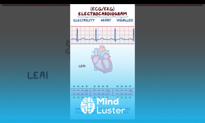 Clinical Cuts ECG Basics