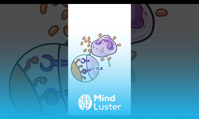 Clinical Cuts Innate immune system