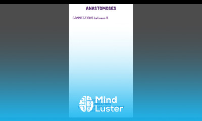 Clinical Cuts Introduction to the cardiovascular system