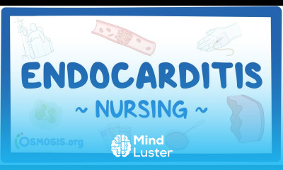Endocarditis Clinical Nursing Care