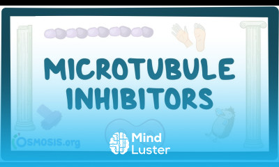 Microtubule inhibitors pharmacology