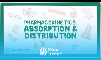 Pharmacokinetics Drug absorption and distribution