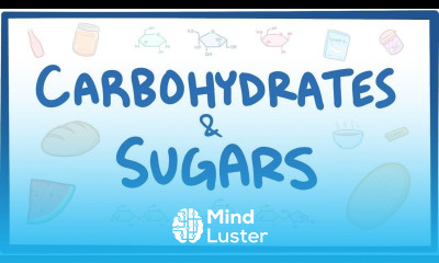 Carbohydrates sugars biochemistry