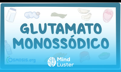 Glutamato Monossódico
