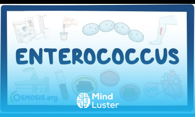 Enterococcus causes symptoms diagnosis treatment pathology