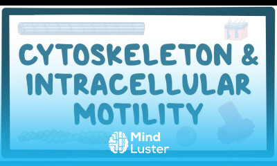 Cytoskeleton and intracellular motility