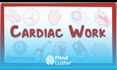 Cardiac work causes symptoms diagnosis treatment pathology
