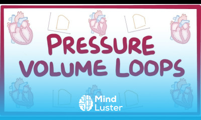 Changes in pressure volume loops