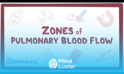 Zones of pulmonary blood flow