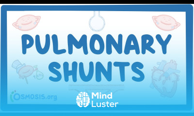 Pulmonary shunts