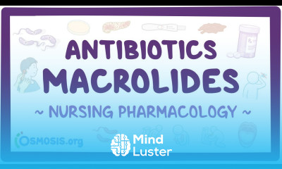 Antibiotics Macrolides Nursing Pharmacology